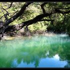 Geothermal Spring