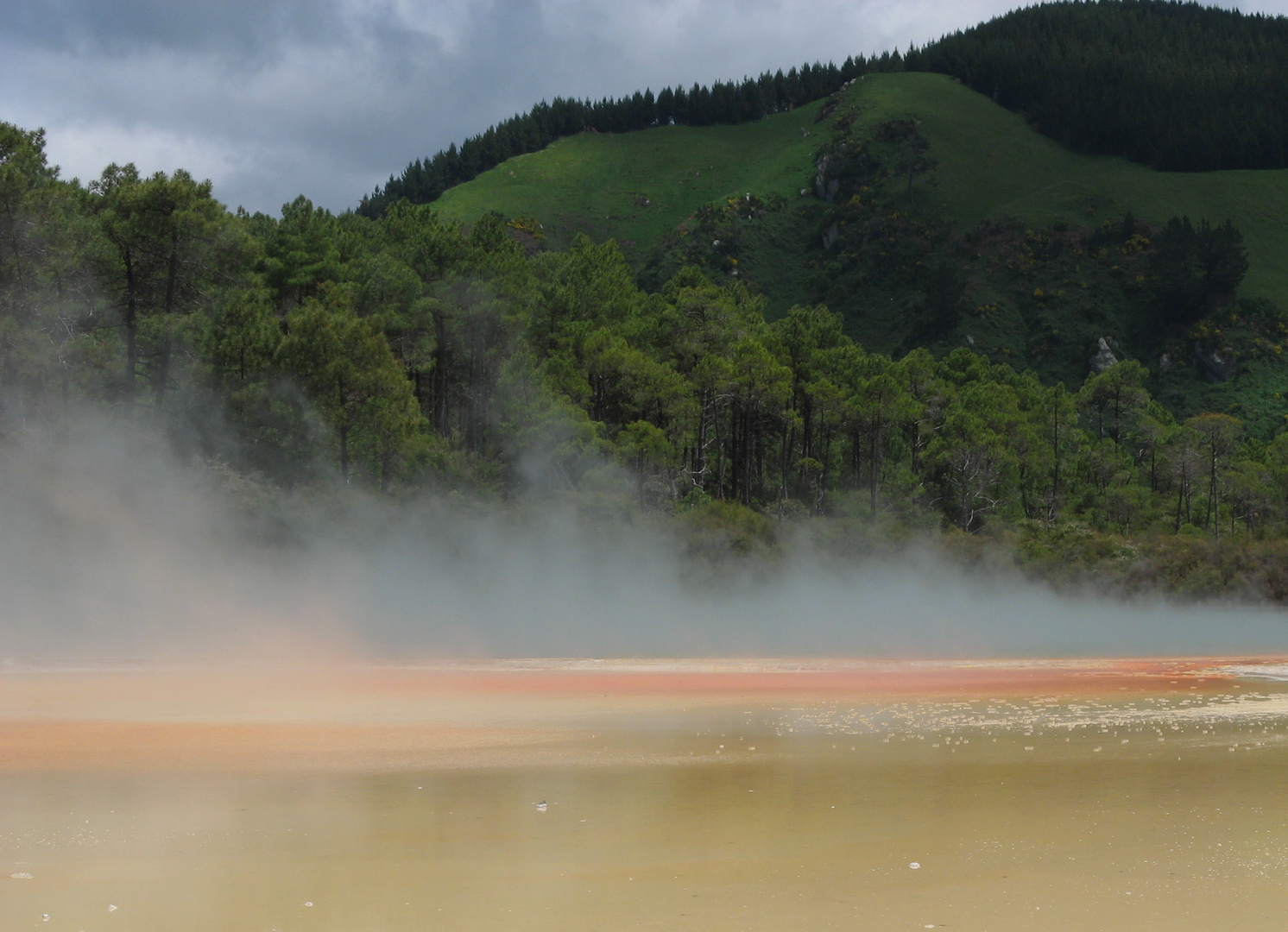 Geothermale Zone bei Rotorua