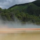 Geothermale Zone bei Rotorua