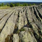 Geotop "Palmwedel" Hirtstein