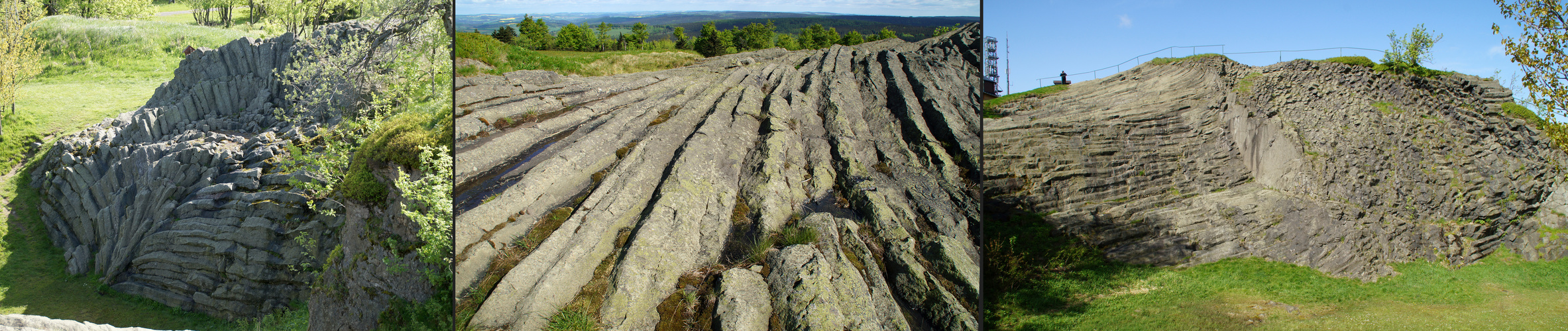 Geotop "Palmwedel" Hirtstein