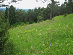 Geotopweg Pottenstein