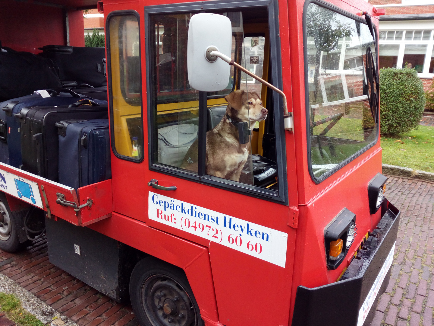 Gepäckdienst mit Wachhund