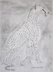 Gepard