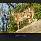 Gepard