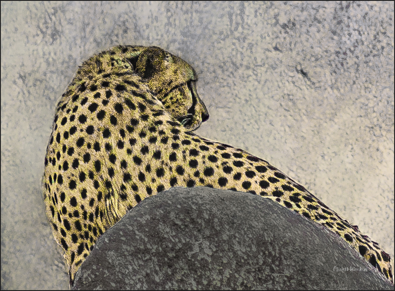 Gepard