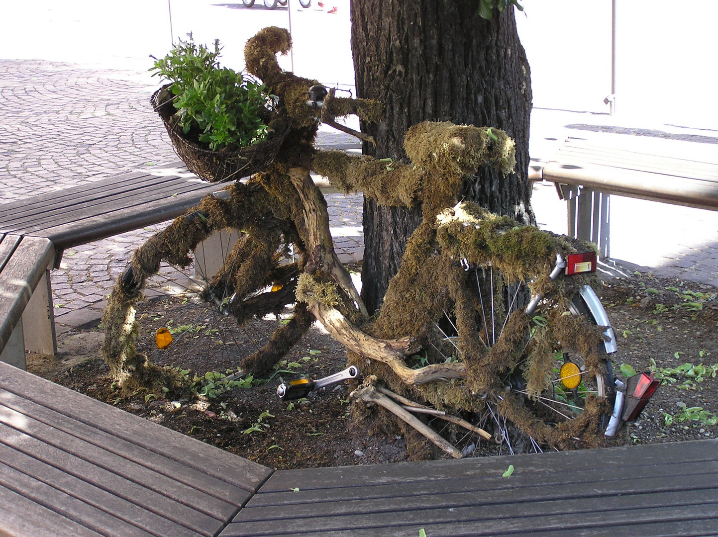 geparkt in der stadt karlsruhe