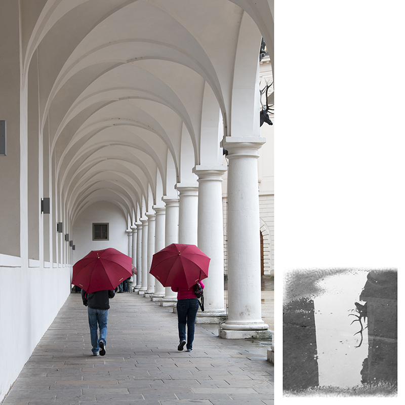 Gepflegt Lustwandeln bei Regenwetter