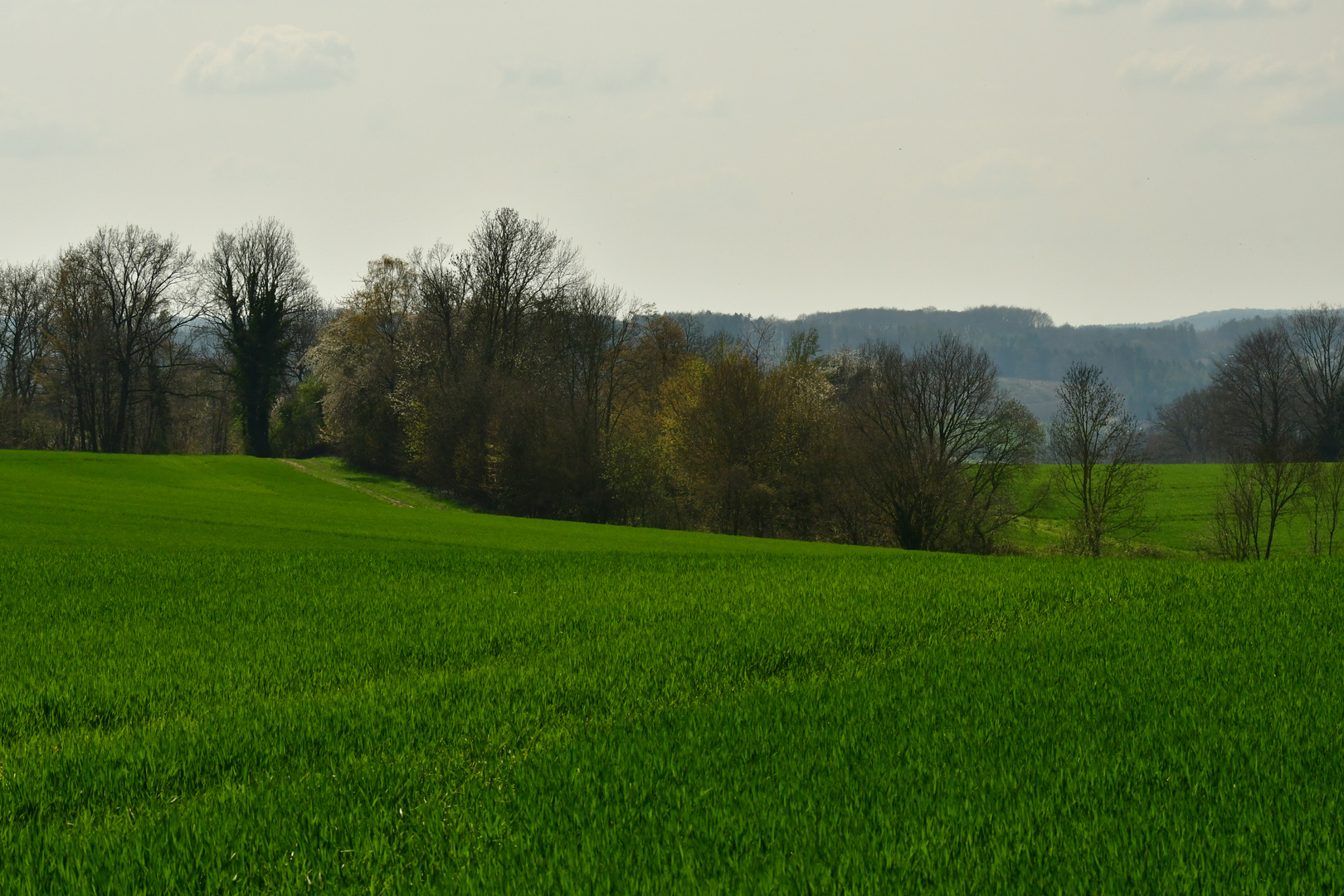 "Gepflegter Garten"