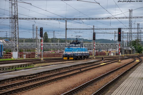 Gepflegtes Bügeleisen