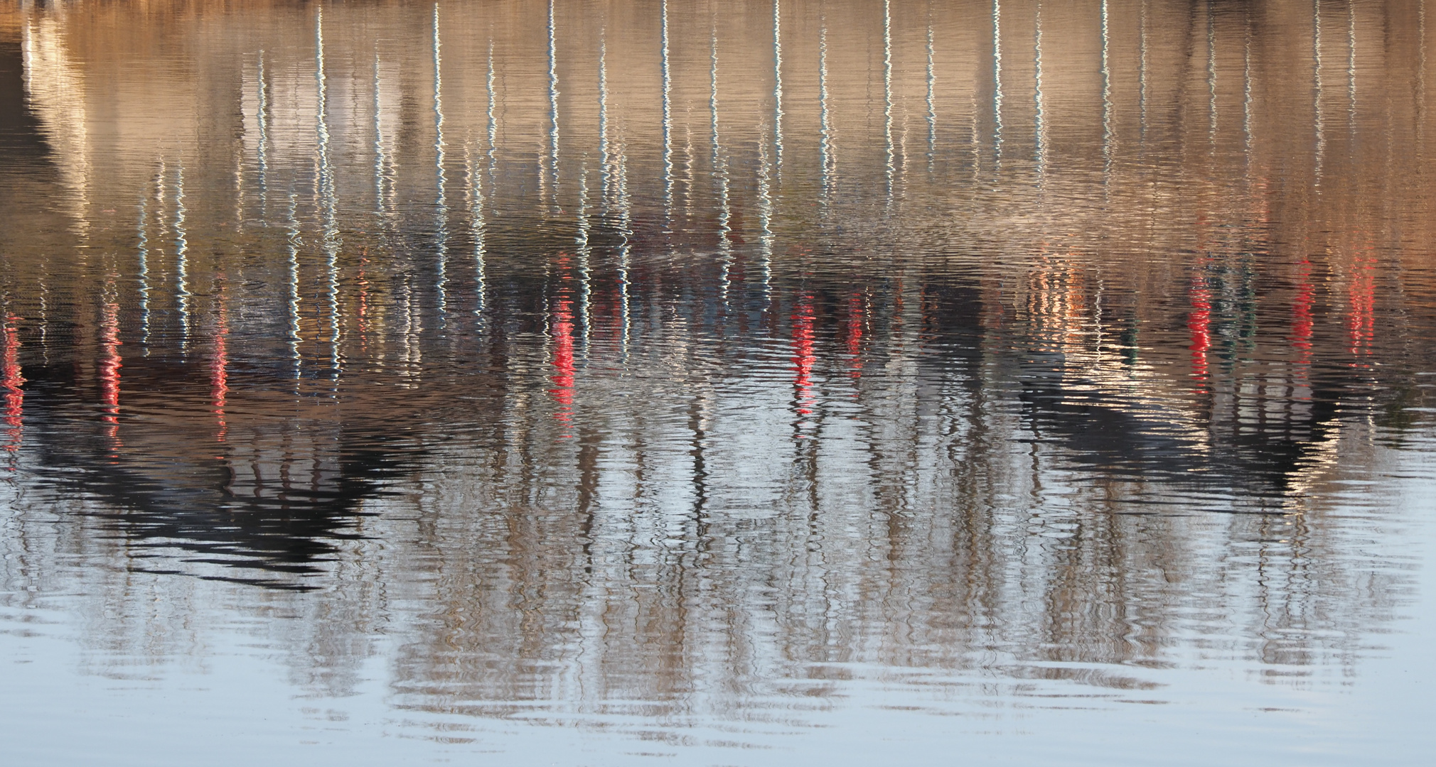 gepiegelt in der neuen donau