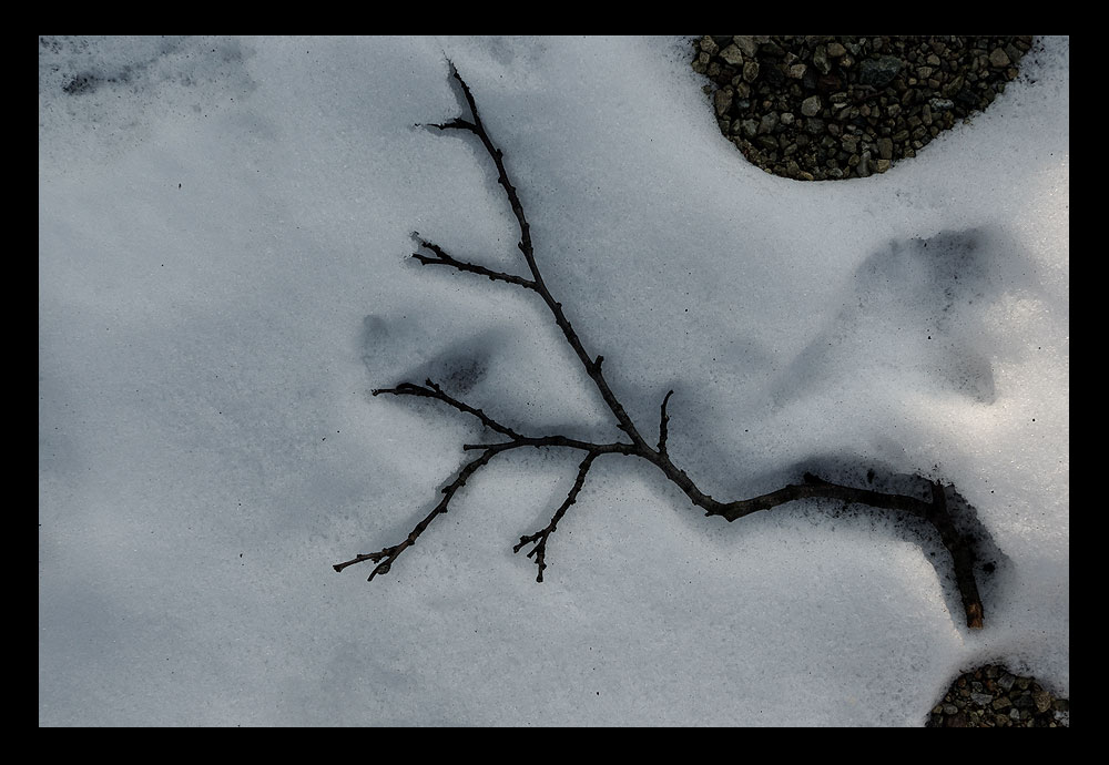 ...geprägt vom winter...