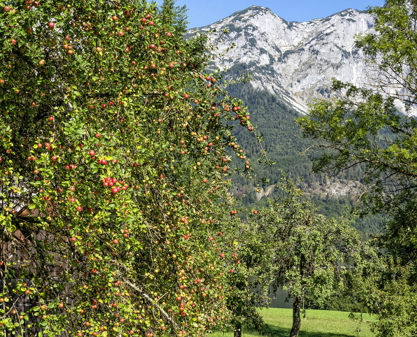 Gepriesen werde der Herbst