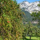 Gepriesen werde der Herbst