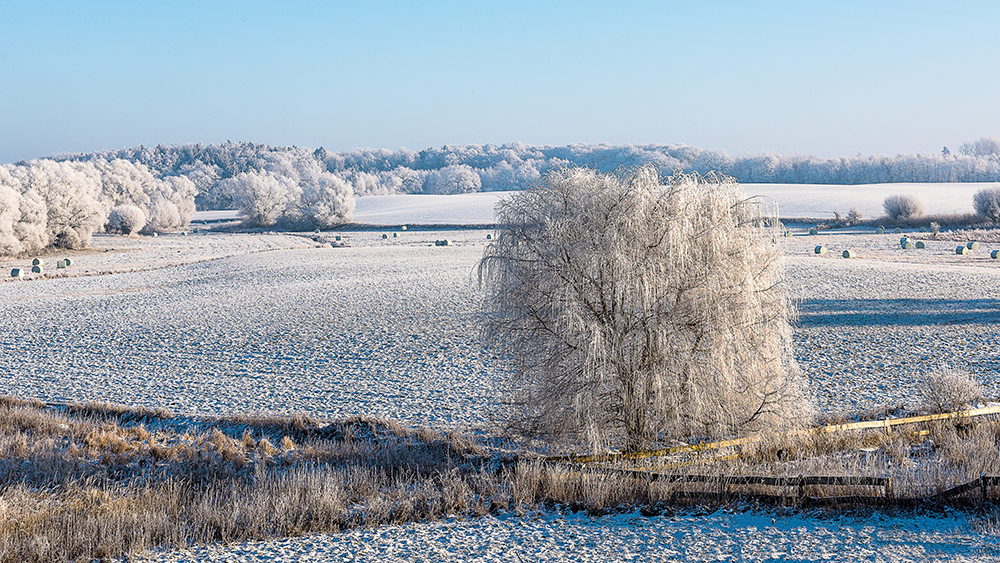 gepuderte Landschaft