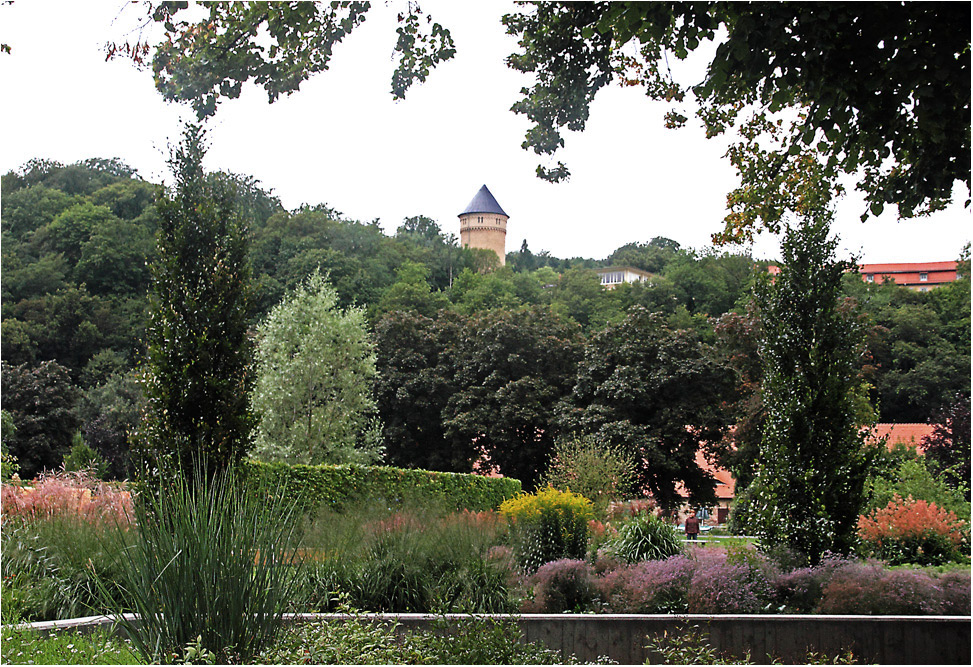 Gera Hofwiesenpark Foto & Bild landschaft, garten