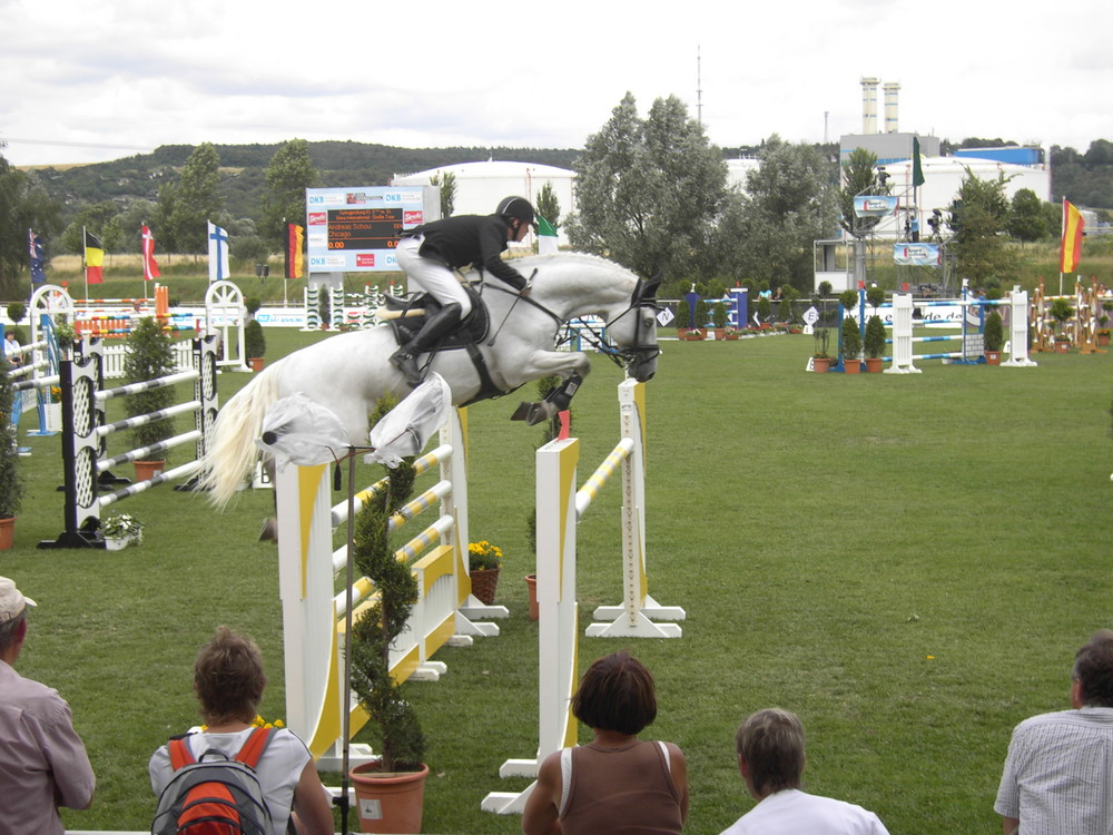 Gera International 2008