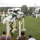 Gera International 2008