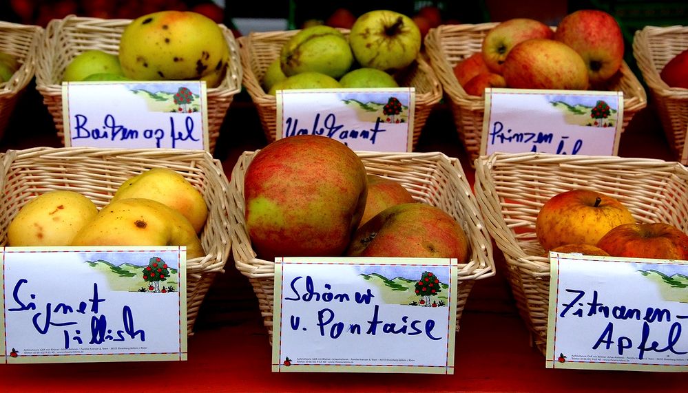 Gerade jetzt sind viele Vitamine wichtig!