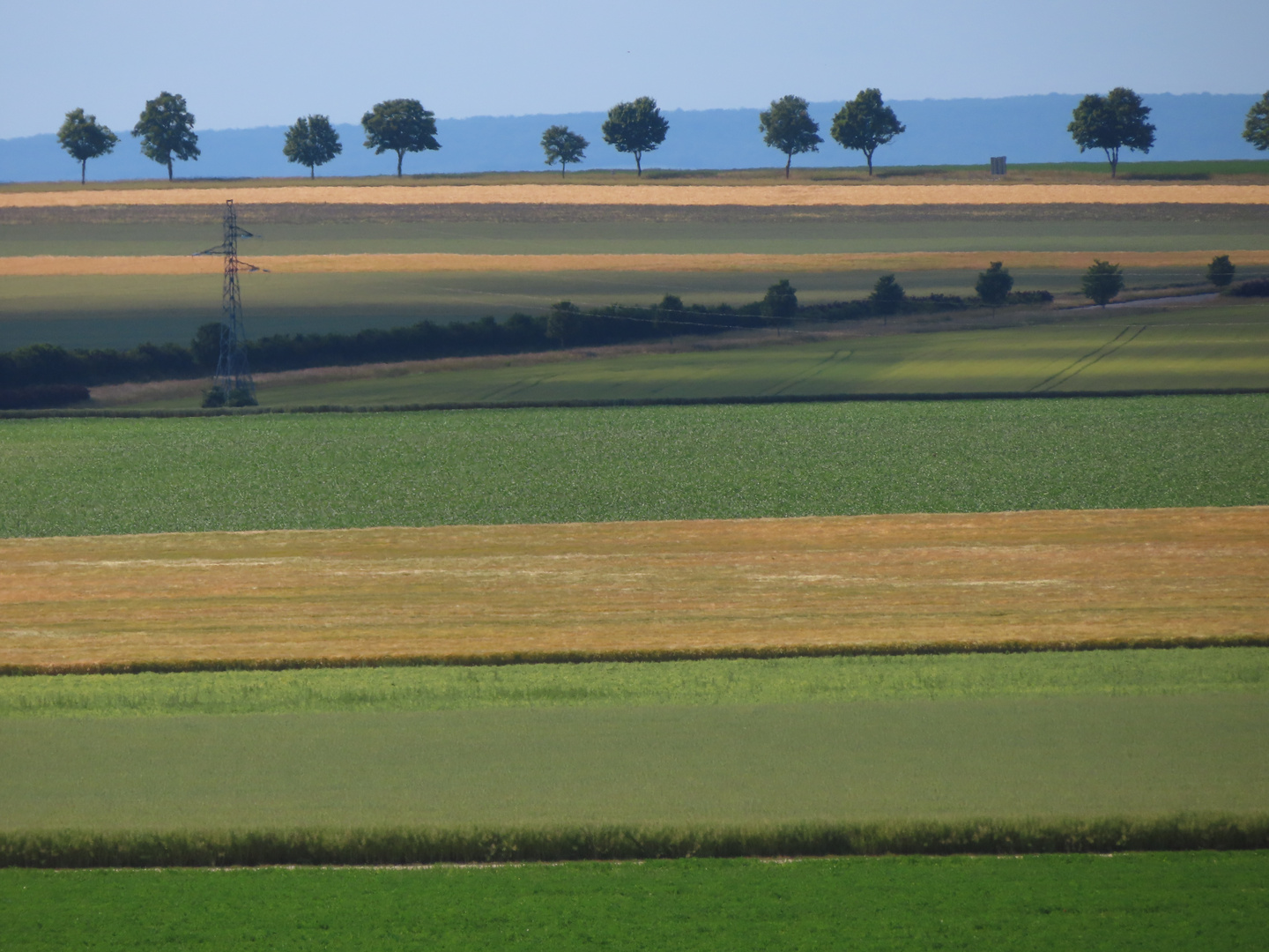 Gerade Linien in der Champagne