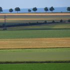 Gerade Linien in der Champagne