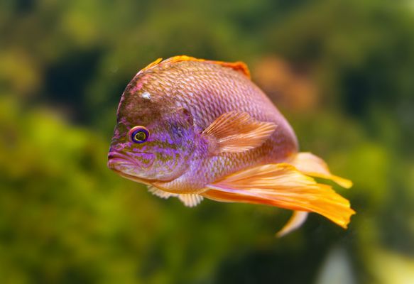 gerade noch die Kurve gekriegt