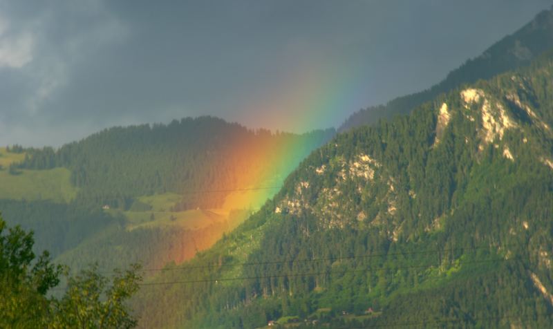 Gerade noch erwischt ...