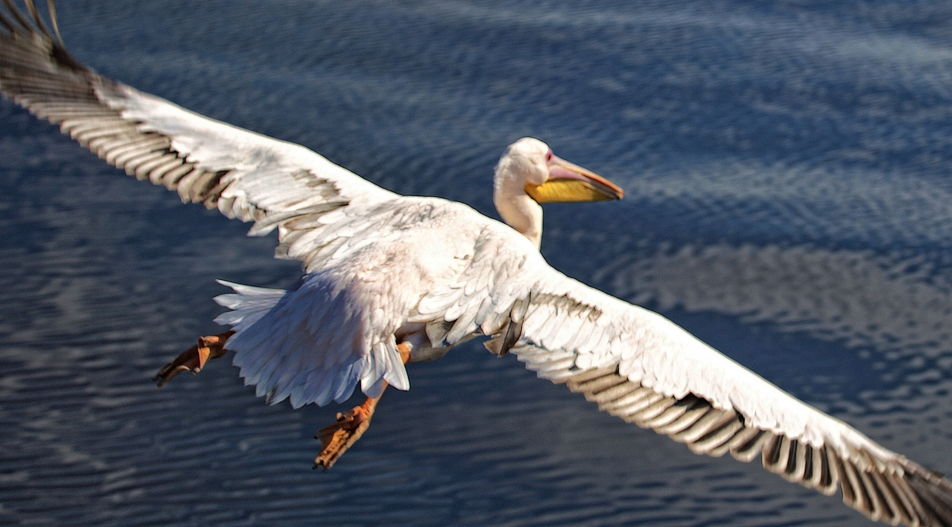 gerade noch im Flug erwischt