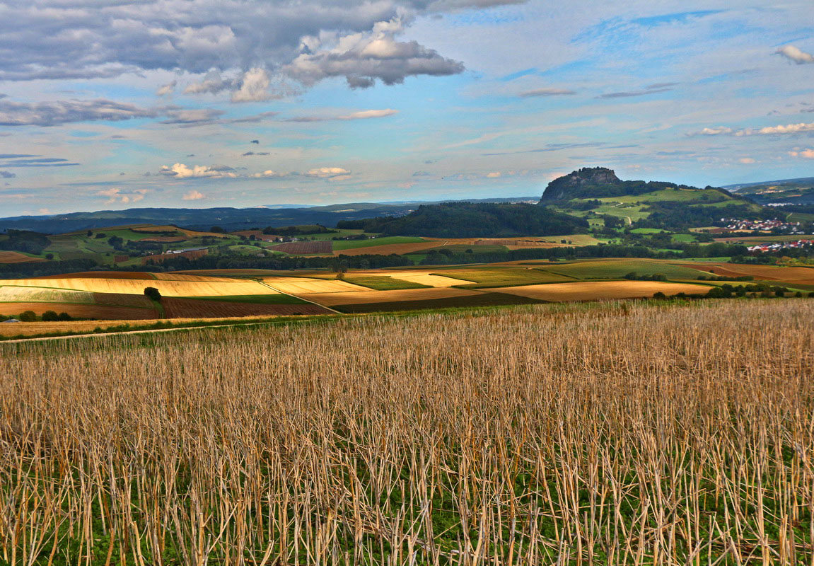 Gerade rechtzeitig hat der Landwirt das Feld abgeernted