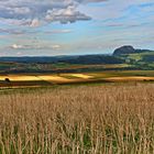 Gerade rechtzeitig hat der Landwirt das Feld abgeernted