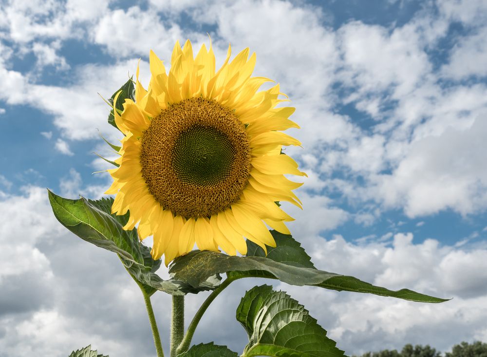 gerade schien noch die Sonne und plötzlich war ich klatschnass