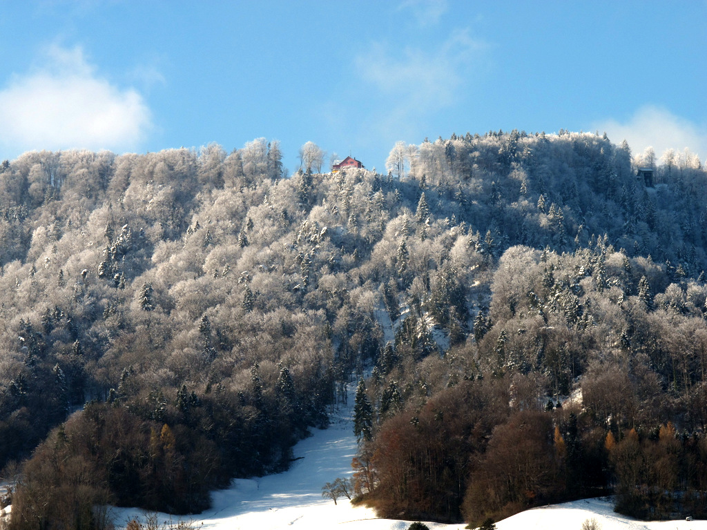 gerade vis-à-vis ...