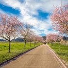 Geradewegs in den Frühling