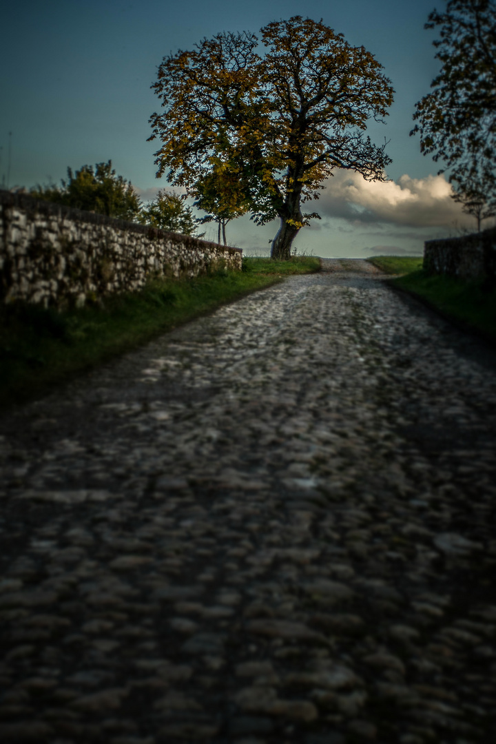 Geradewegs zum Herbst