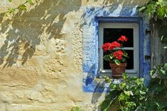 Geranien am Fensterl