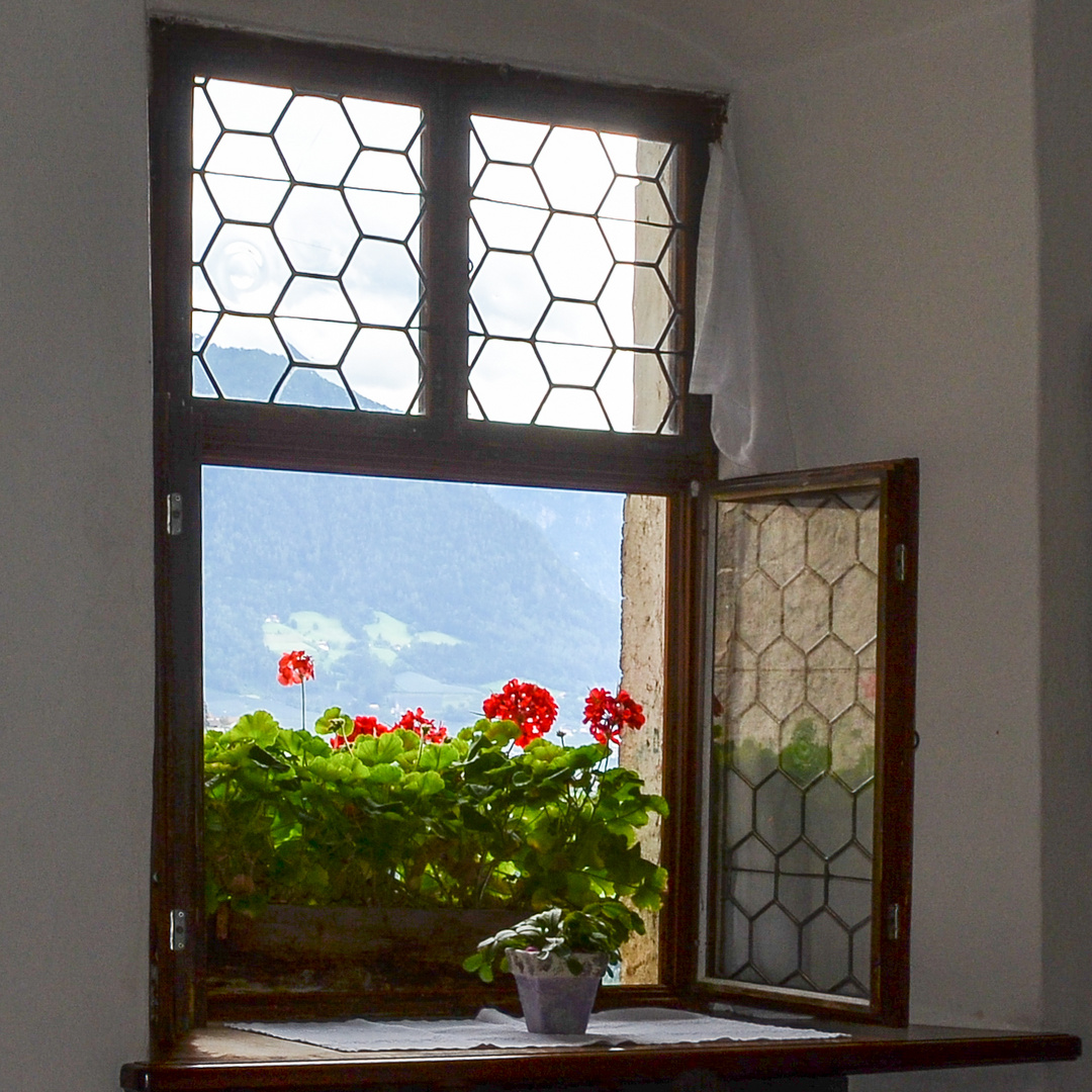 Geranien vor dem Fenster