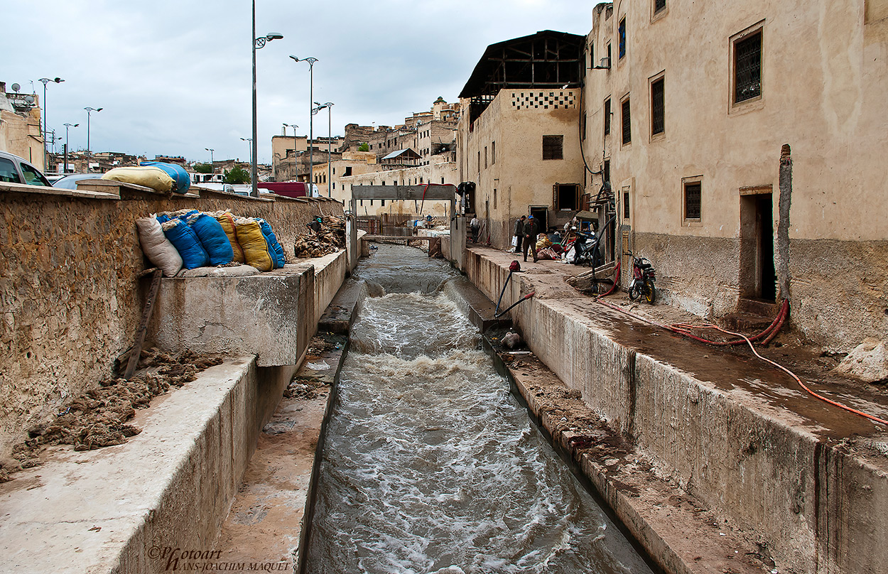 Gerber in Fès