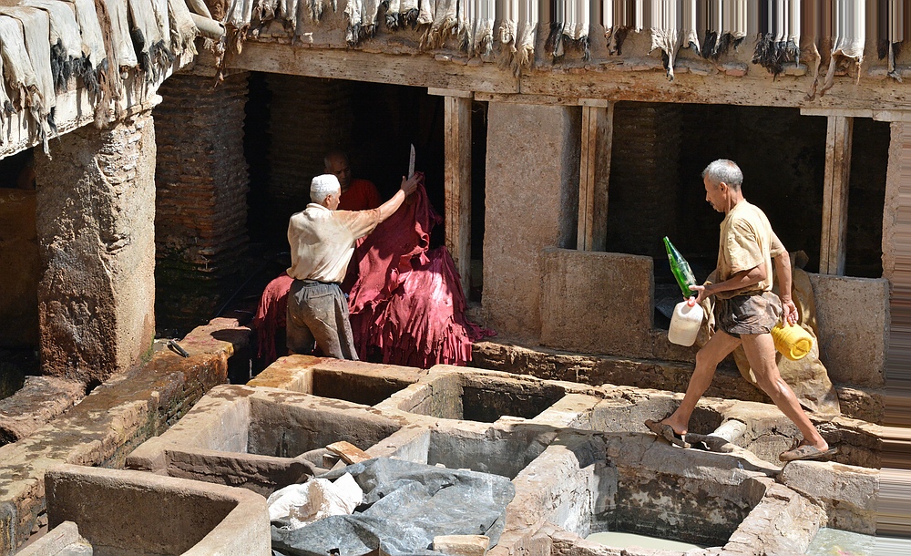 Gerber in Fès - Marokko