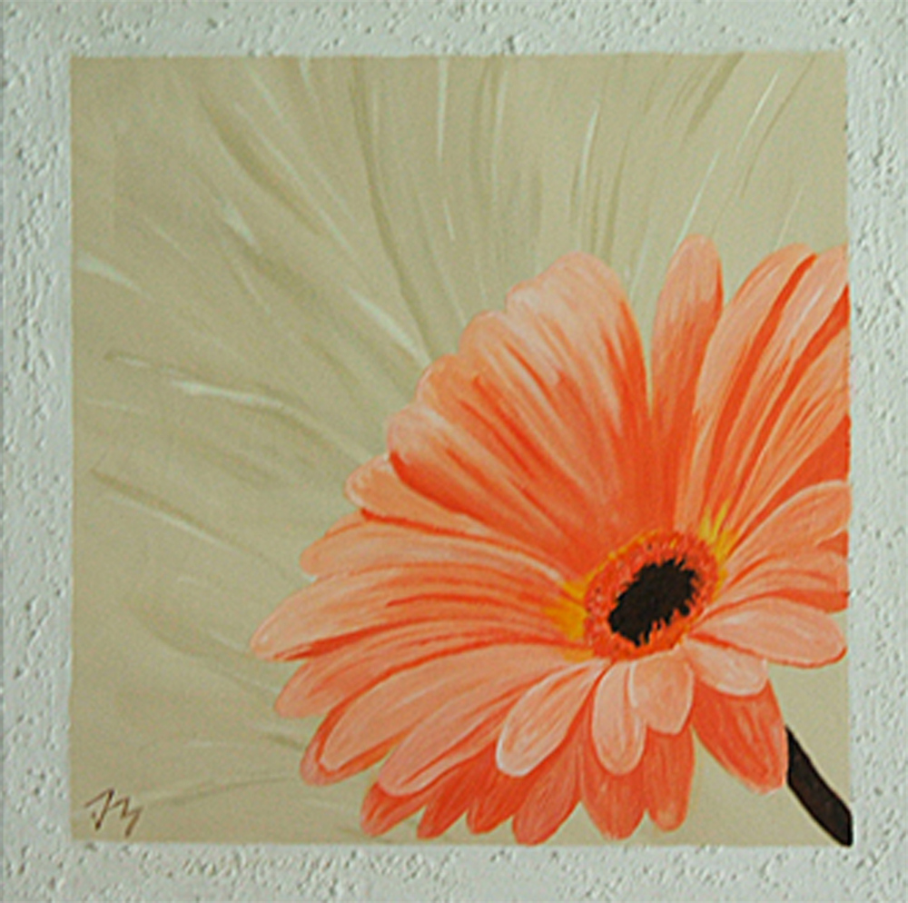 Gerbera