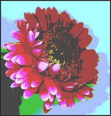 gerbera abstrakt