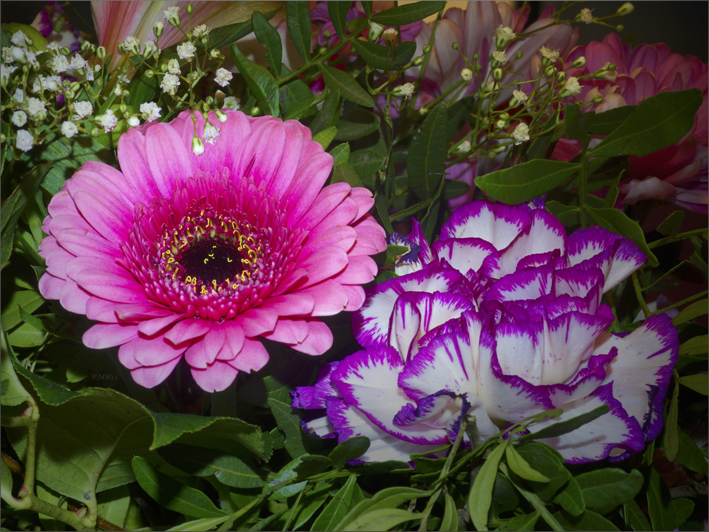 Gerbera & Carnation