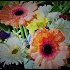 Gerbera & Co.