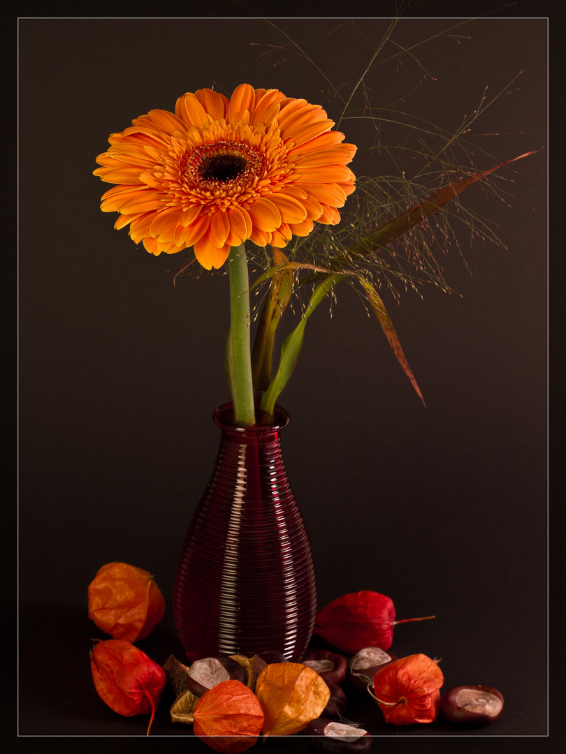 Gerbera Herbstgesteck