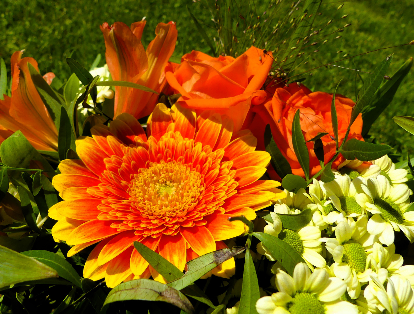 Gerbera im kleinen Strauß