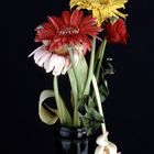 Gerbera, Rose und Tulpe