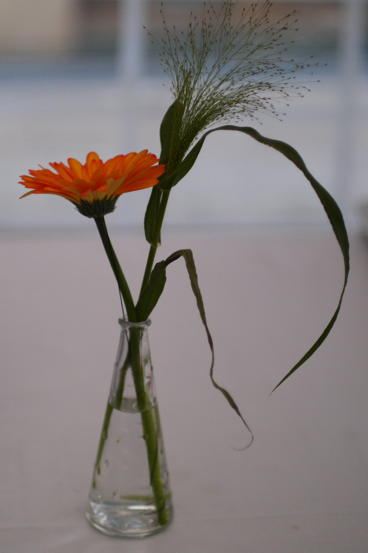 Gerbera-Vase