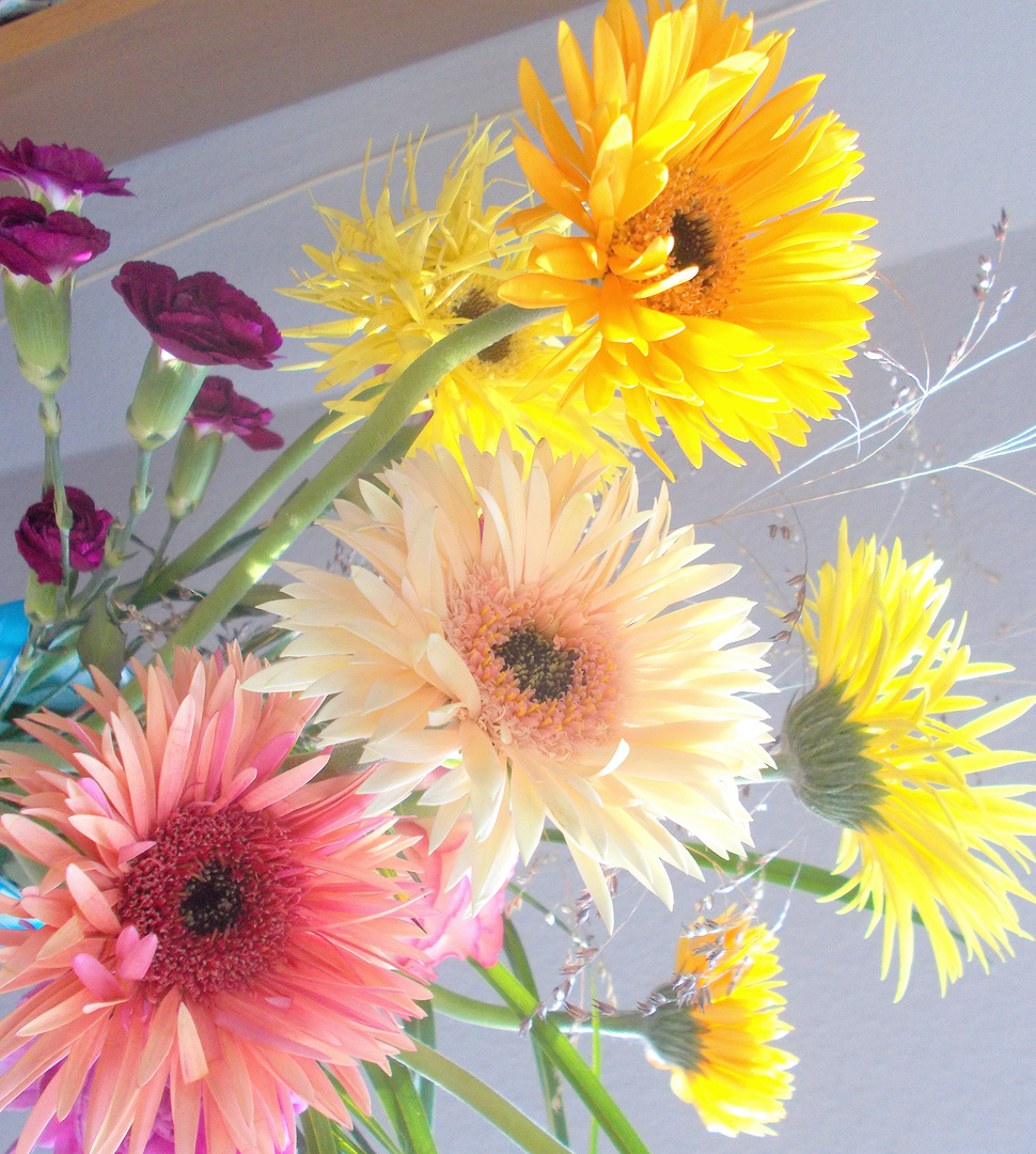 Gerbera zum Wochenende..