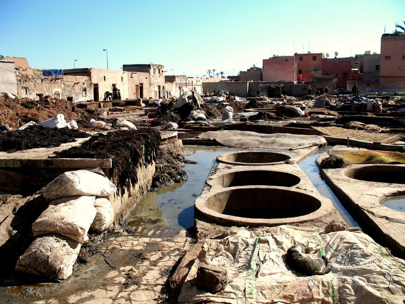 Gerberei in Marrakesh