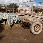 Gerberei Taroudant, Marokko