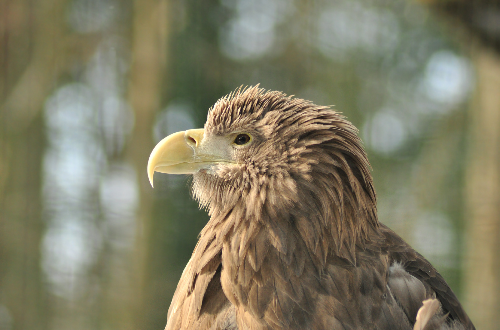 Gerda Foto & Bild natur, portrait, zoo Bilder auf